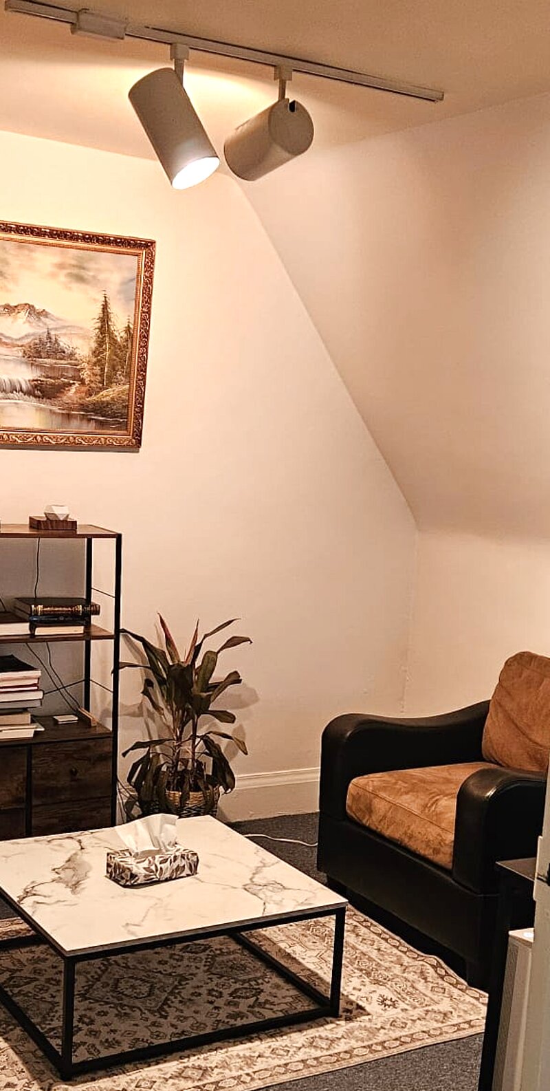 View into the Counsology therapy room at 100 Granby Street